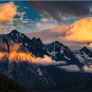 송이만찬 이미지