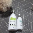 슈앤트리 이미지