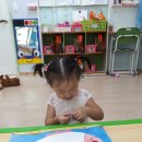 무지개물고기 이미지