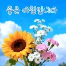 에서 - 화성시 | 에서