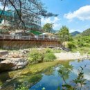 포시즌밸리계곡애견펜션 이미지