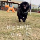 하남 스타필드 무료 반려견 운동장_펫파크 후기