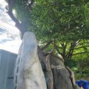 문숙영당 이미지