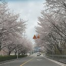 타이테라피휴 | 군산마사지 데이트 코스 솔직후기 찐추천 '휴스파테라피'