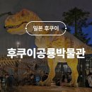 금강산자연사박물관(휴관) | 세계 3대 공룡박물관 후쿠이현립공룡박물관 42개월 아기랑 일본 소도시 여행 후기 2탄