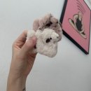 일상 (책속에 풍덩, 속초여행, 신혼밥상, 신사맛집추천, 오페라공연, 위시리스트 등등..)