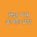 햇살아래
