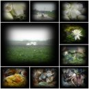 이승현농장 이미지