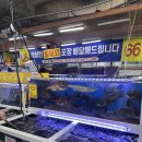 활어회포장 네이버블로그