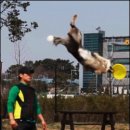 말무리염소농장 이미지