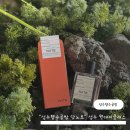 성수향수공방 닷노트 : 성수 이색데이트 코스 원데이클래스 체험 솔직후기