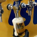 감자(GAMJA) 이미지