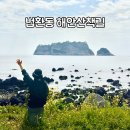법환 어촌계 | 제주 법환포구 해안산책길 유채꽃 명소 : 위치 주차 포토존 카페 숙소 근처 가볼만한곳