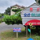 오션이니스프리2 네이버블로그