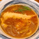 [도쿄 DAY1] 키네야 수타우동/신우라야스 맛집