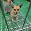 요도천변길 이미지