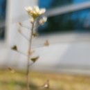 애련정로136번길 이미지