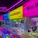 엘리스(인형뽑기방) 이미지