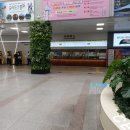 전동떡갈비앤브리즈 | 전주 풍년제과 초코파이 경기전 전동성당 여행 선물