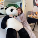 달이뜨면꽃이피고 이미지