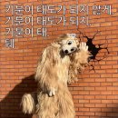 파티앳홈