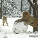(주)눈사람 이미지