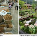 금산재래시장2 이미지