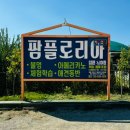 1월29일 (목요일) 오후7시 불멍카페 안산 팜플로리아 여러간식과 함께 불멍합니다 이미지