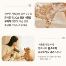 (주)원스팩 | 내돈내산, 에브리원스 강아지 진정샴푸 (루피 포메라니안 알로페시아 샴푸추천)
