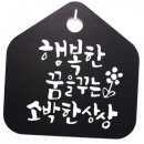 행복한 꿈을 꾸는  이미지