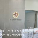 샐리동물병원 | 진주 대형견 중성화수술 / 대형견동물병원 / 진주 과진료없는 동물병원추천 [해뜨는동물병원]