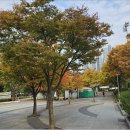 원적산공원 이미지