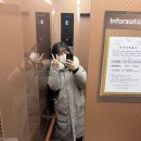 품위와 여유를 갖는 문인화 | 1월 5주차 일상