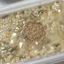 본죽중동교점 이미지