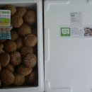 서우농장 이미지