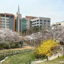 한내근린공원 이미지