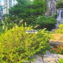 연산 더샵 아파트 이미지