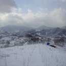 동편농장 이미지