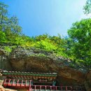 형제송입구 이미지