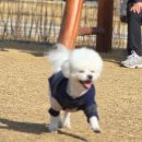 2월, 봄이 오기를