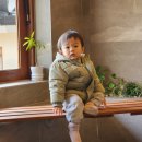 스테이더담 도율 이미지