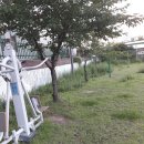 봉정농장 이미지