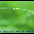 서목
