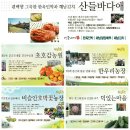 바다애오토캠핑장 | 해피굿팜과 함께하는 해남농가의 팜파티 땅끝오토캠핑장에 다녀왔어요.
