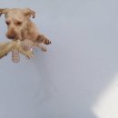 박순호의 아이슬란드 이미지