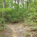 창리근린공원 이미지