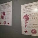 석남고가사거리(42145) | 석남동 도끼집, 토마호크 제대로 즐길 수 있는 스테이크맛집