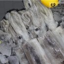 조양물산 이미지