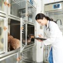 금천동물병원 이미지