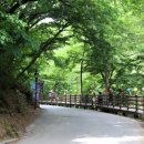 마곡사 주차장1 이미지